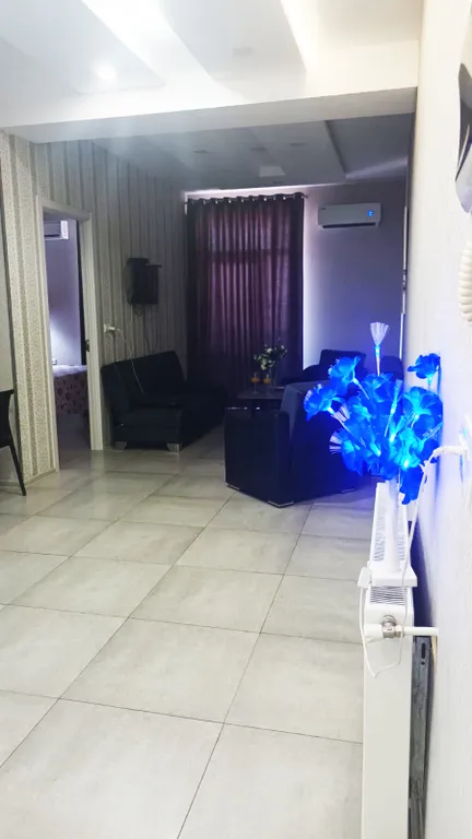 Двукомнатная квартира в Саакадзе тауерс