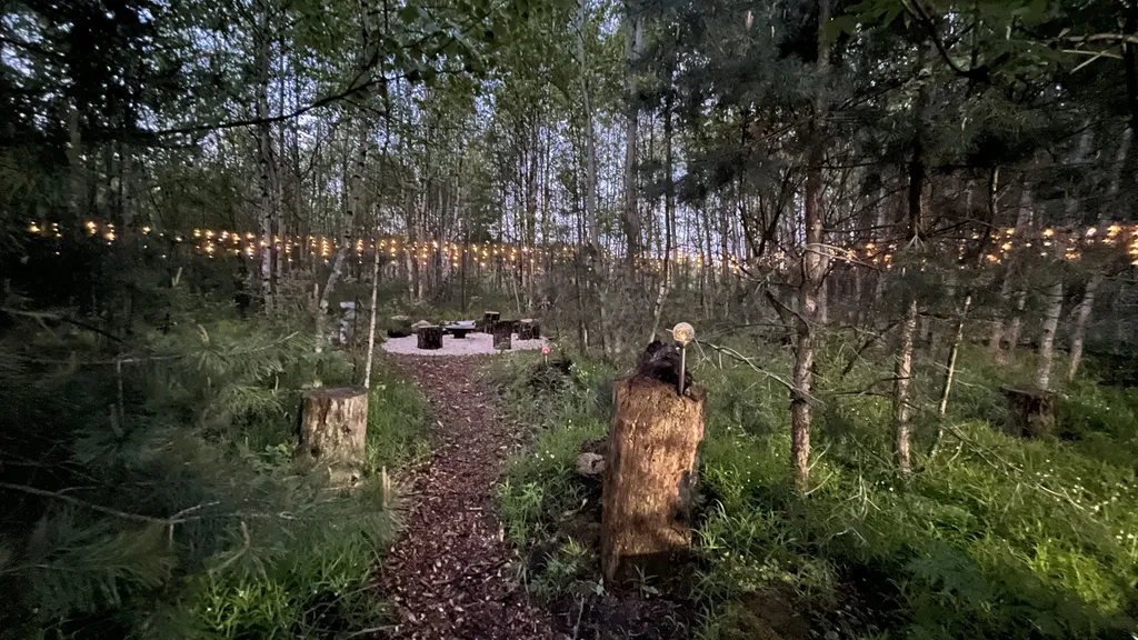 Коттедж Уютный дом в стиле барн — Дятловка