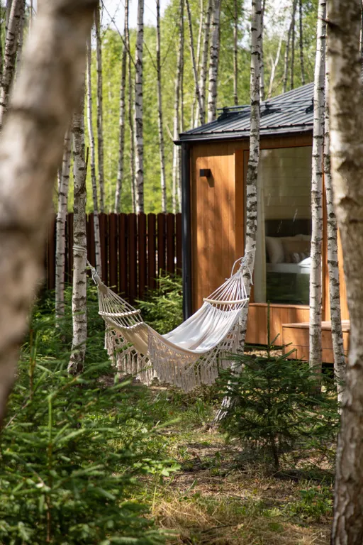 Дизайнерский дом в лесу