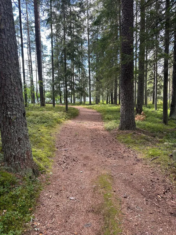 Уютный дом со всеми удобствами на 14 чел семейного отдыха и с друзьями
