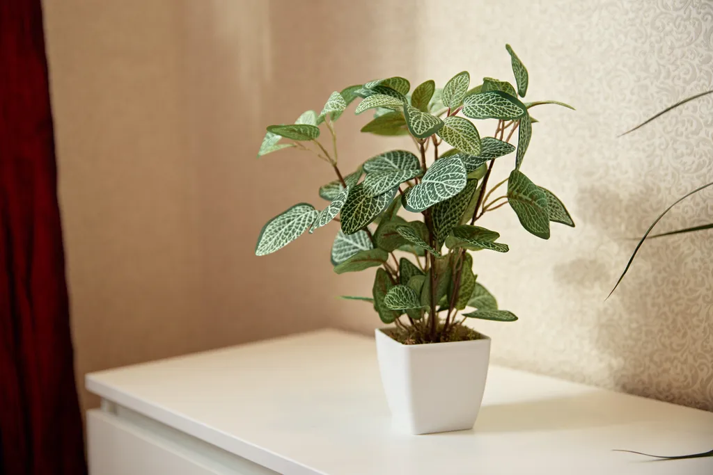 Гостевой дом Алмаз