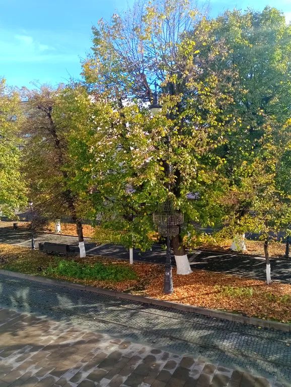 Уютная квартира в центре города