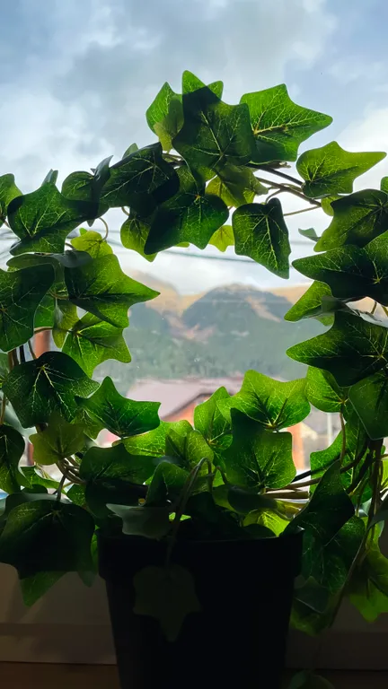 Коттедж Гостевой дом в Архызе "Светлое место" — Архыз