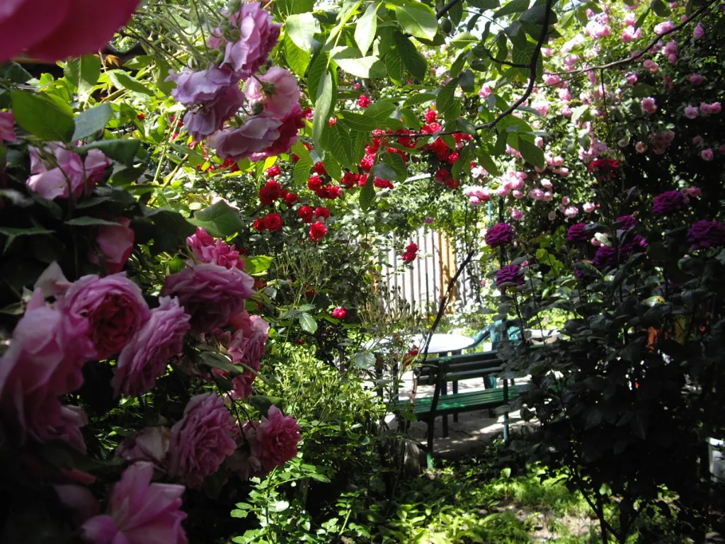 Уютный дом в центре города