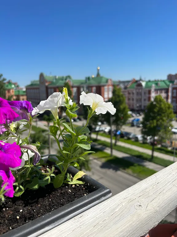 Квартира с видом на Набережную в центре