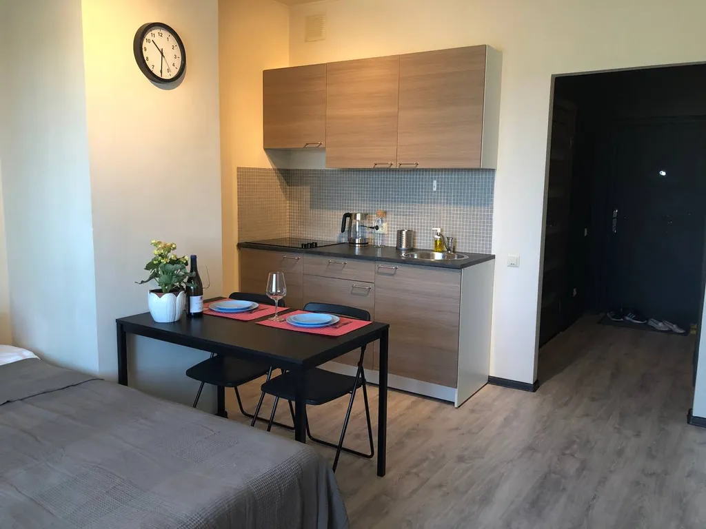 Студия в Новоселье