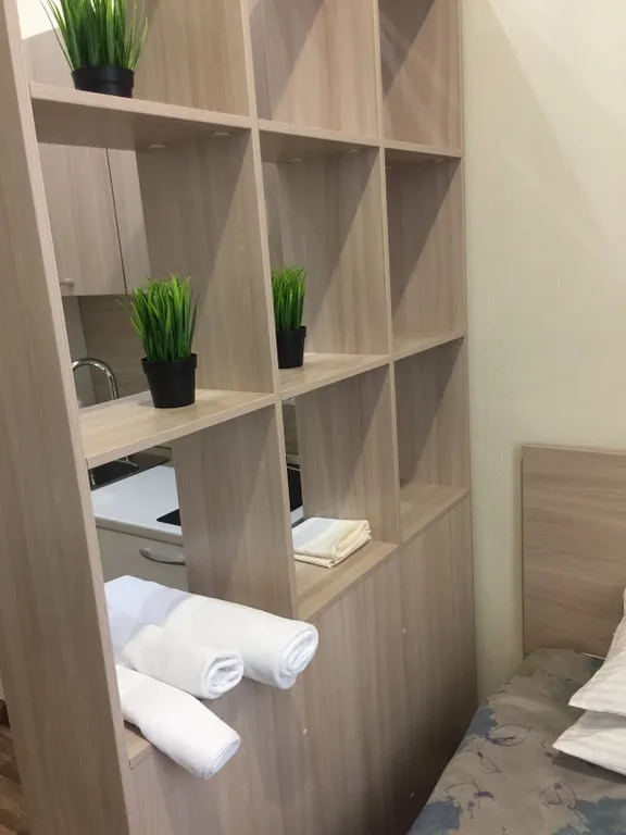 Квартира Квартира Уютный апартамент гостиничного типа — Красноярск