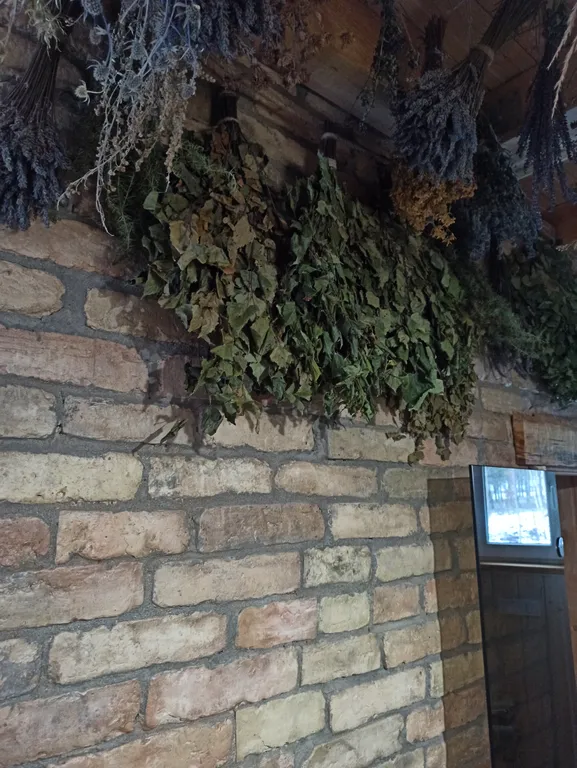 Новый уютный теплый домик с баней возле леса в 7 километрах от Гродно