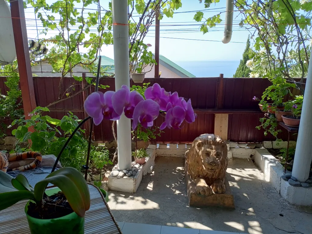 Студия с 1 кроватью с видом на море