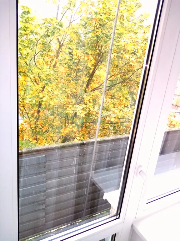 Это Ваш вариант