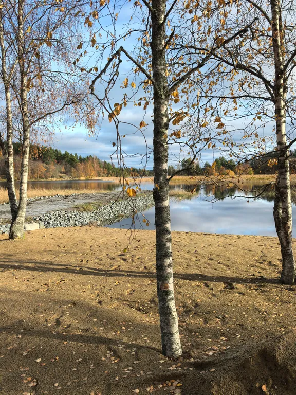Дом на берегу Ладоги с песчаным пляжем, баня с купелью