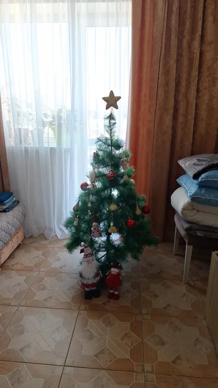 Большая студия рядом с аэропортом