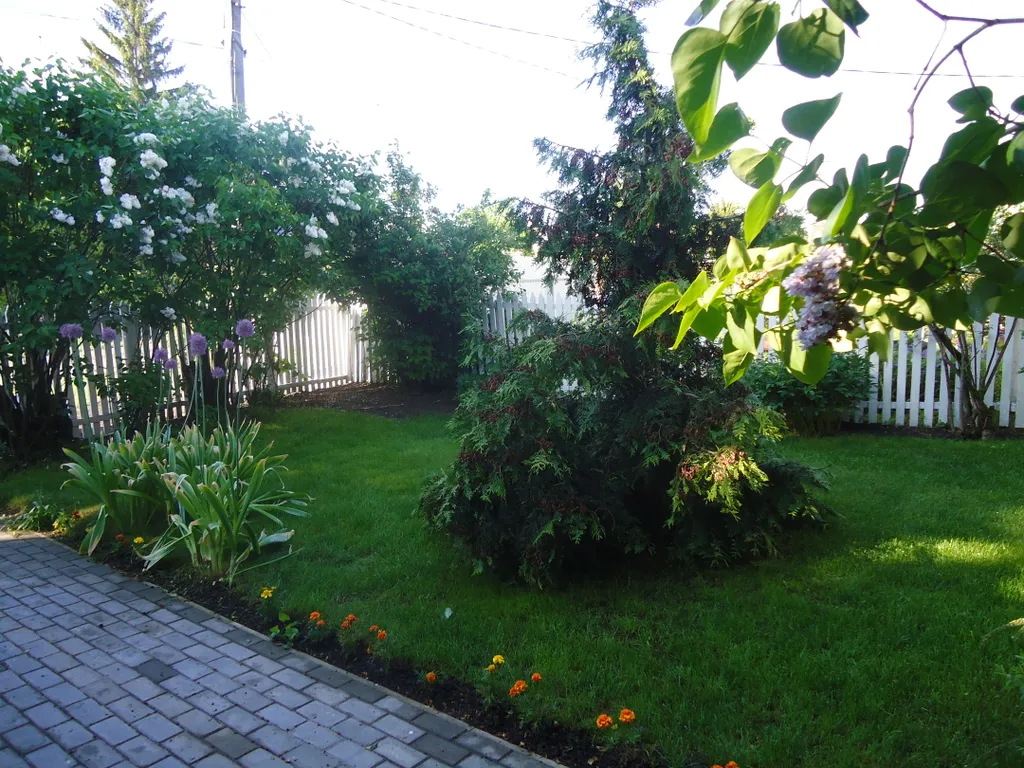 Уютный домик с видом на музей