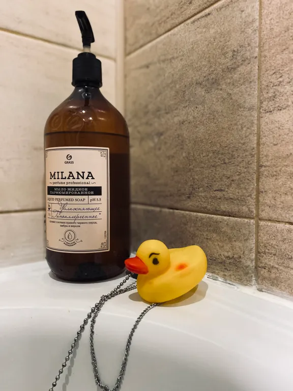 Уютная лесная дача в экологически чистом месте северного приладожья