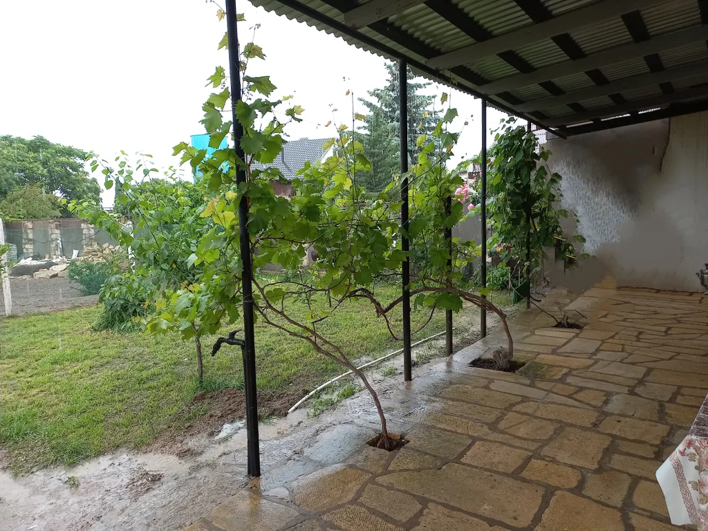 Коттедж Уютный коттедж на берегу моря — Дербент