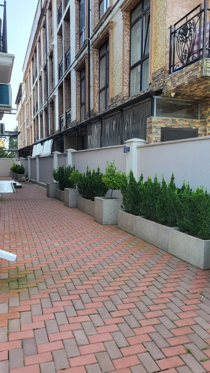 Квартира Дизайнерская квартира в олимпийском — Сириус