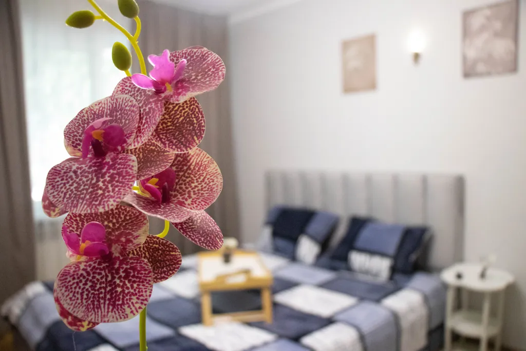 Как дома в Золотом центре Алматы