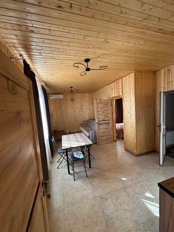 Дом с бассейном и баней