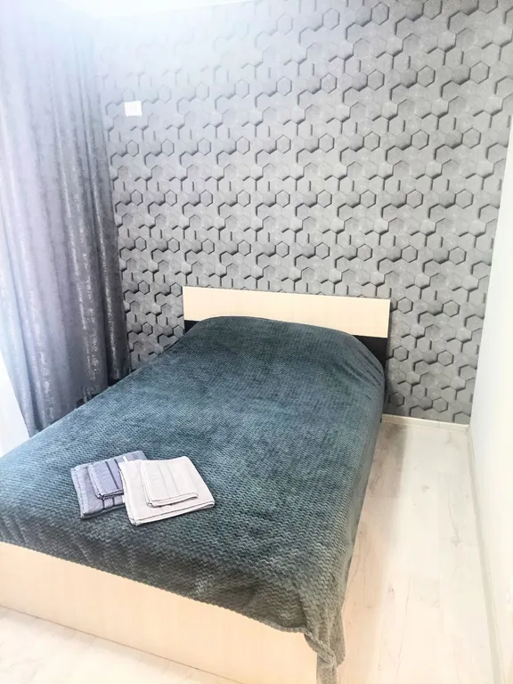 2-комнатная Квартира — аренда посуточно в Воронеж