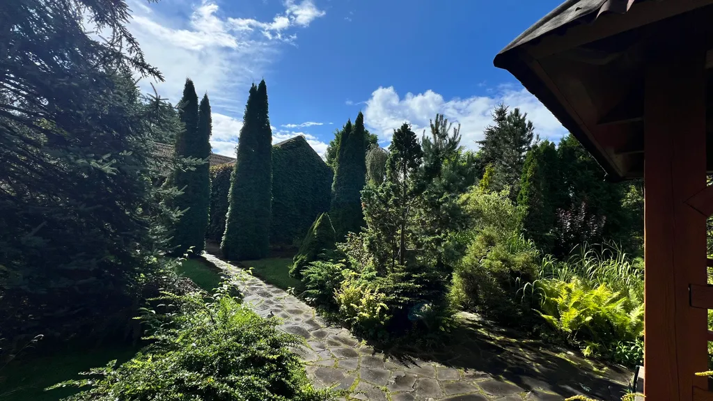 Коттедж Уединённый хутор в лесу у реки с баней и камином — аренда посуточно в Витебск