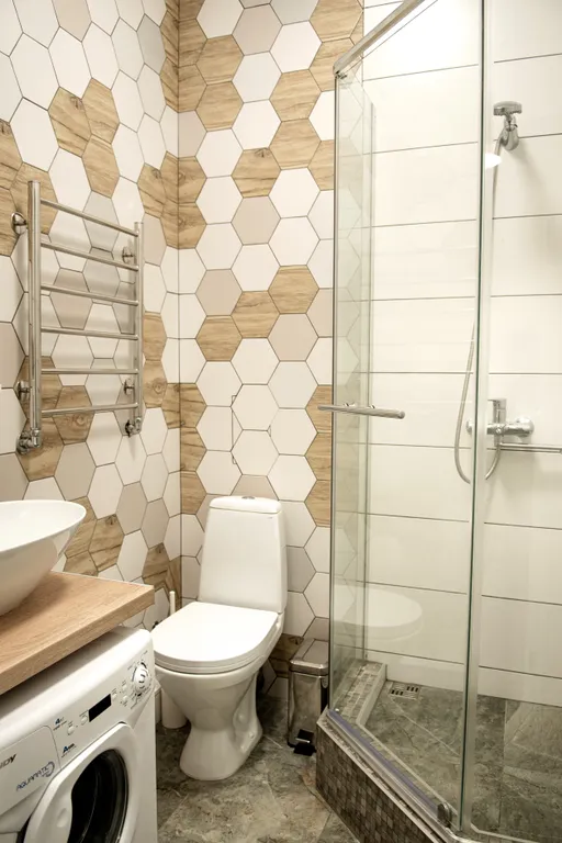 Студия балтийские сосны