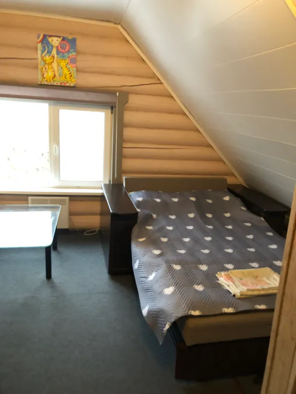 Коттедж Коттедж с баней на дровах для гостей старше 25 лет — Красное Село