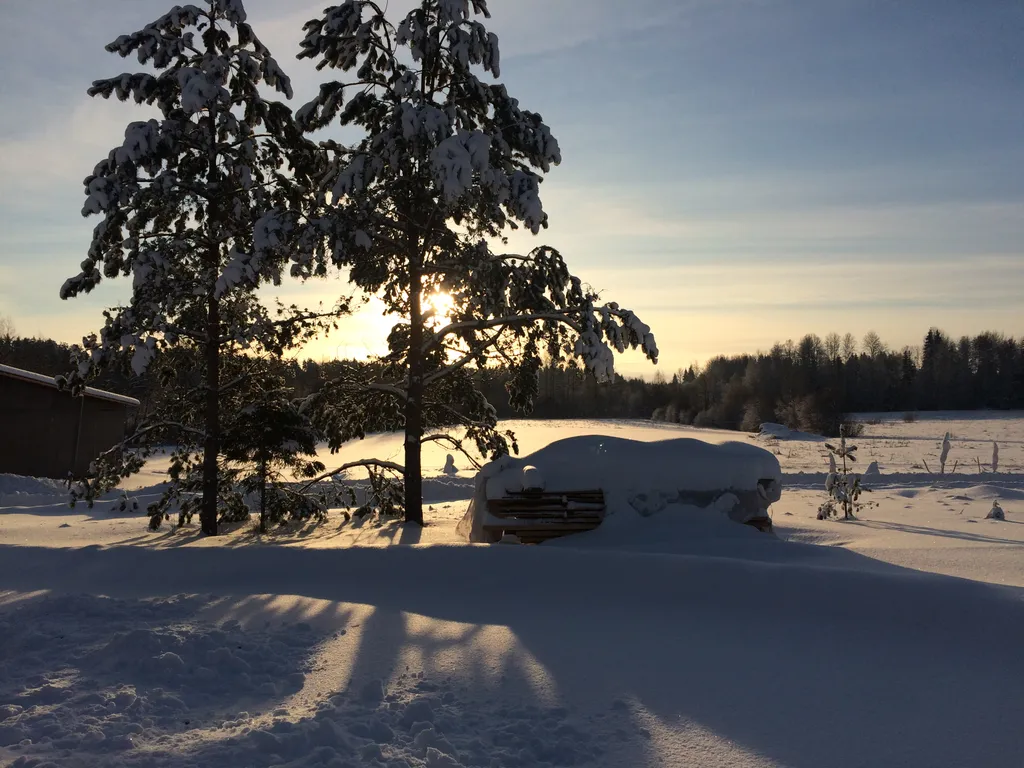 Загородный дом в лесу на Финском заливе