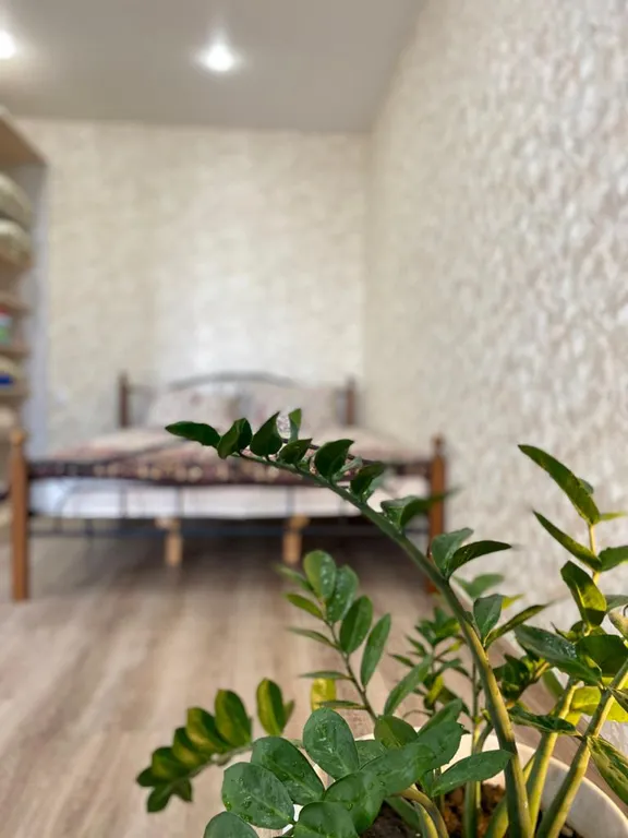 Флора апарт