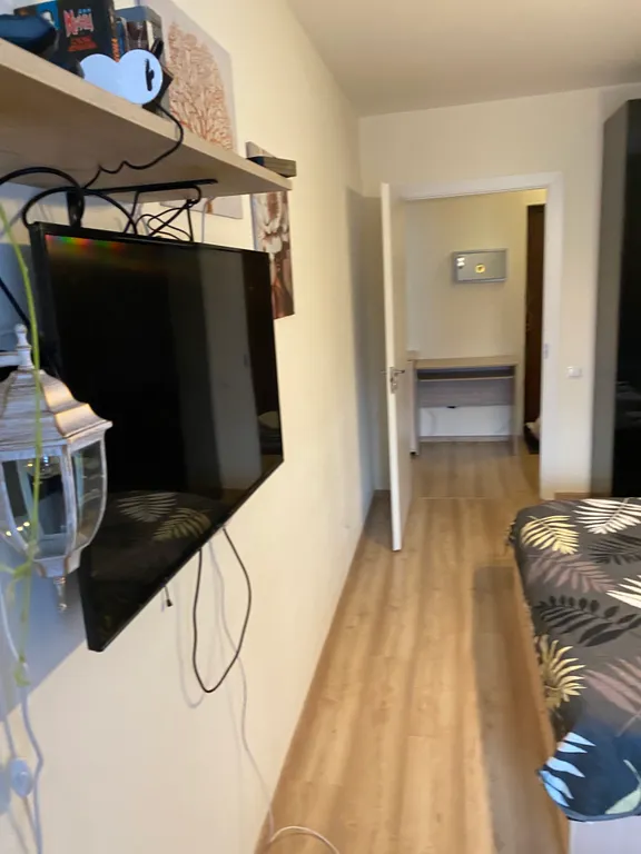 В лесной тиши