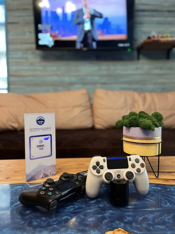 Современная 3ех комнатная квартира Dombay_flats "Диско"