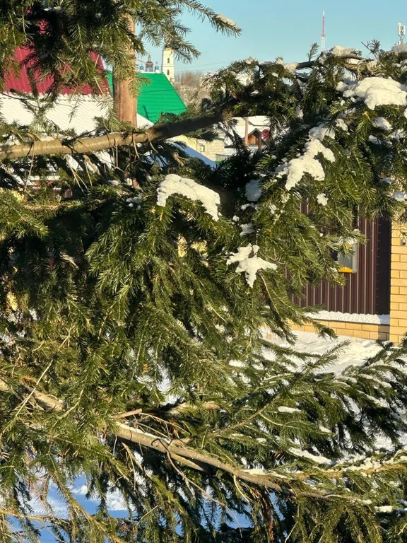 Дом с видом на Кремль