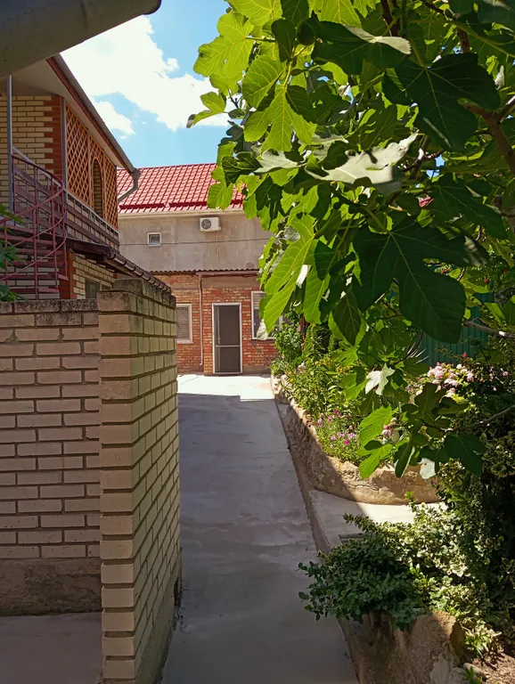 Двухкомнатный номер с беседкой