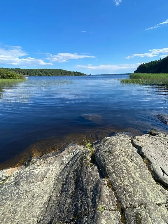Стильный дом на берегу Ладожского озера с панорамным видом