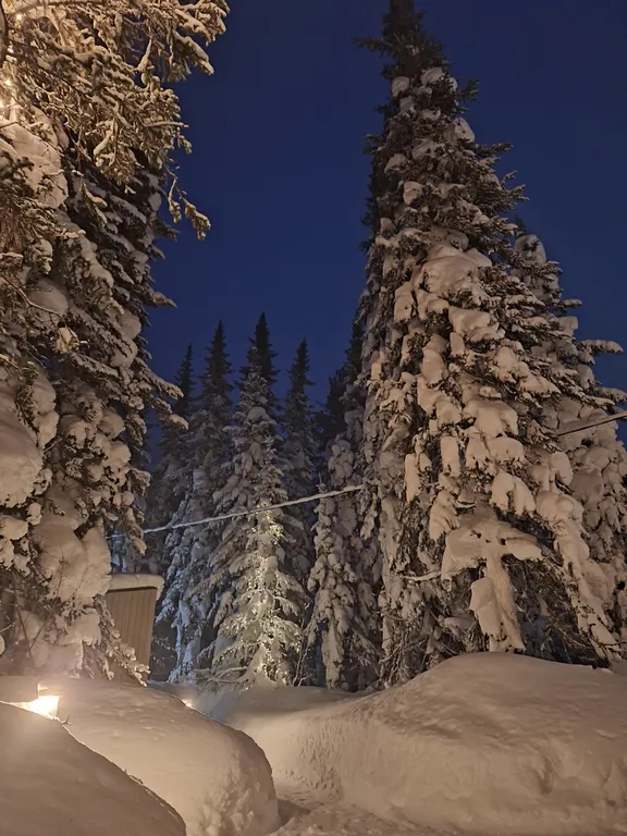 Уютный домик для двоих с террасой в лесу
