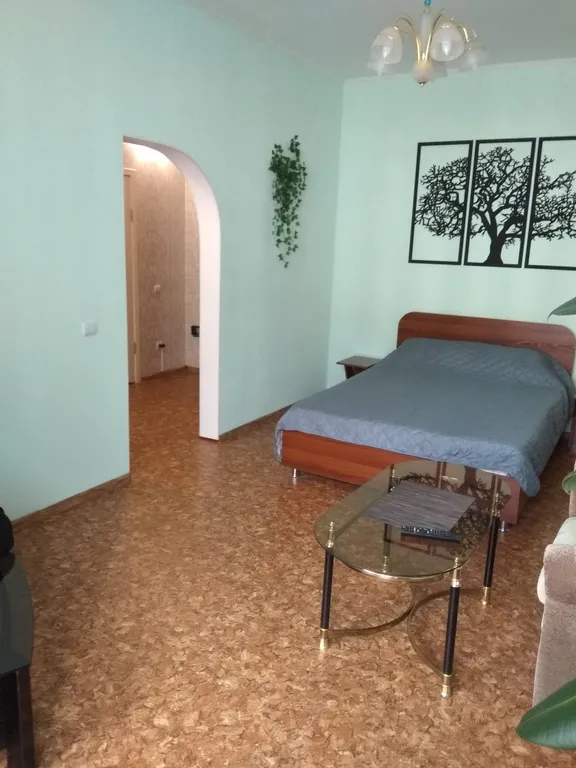 Большая 1-комнатная квартира от собственника — аренда посуточно в Железногорск