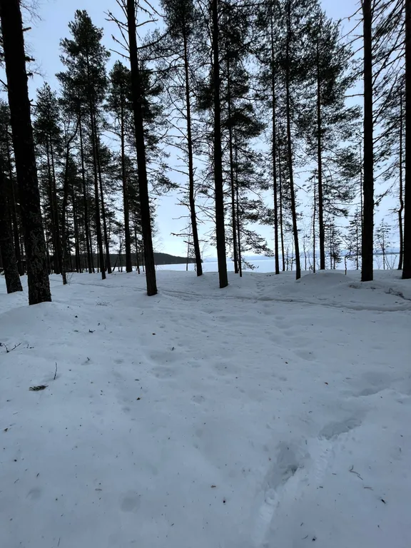 Карельская Дача Уютное шале с камином в сосновом бору, берег Сямозера