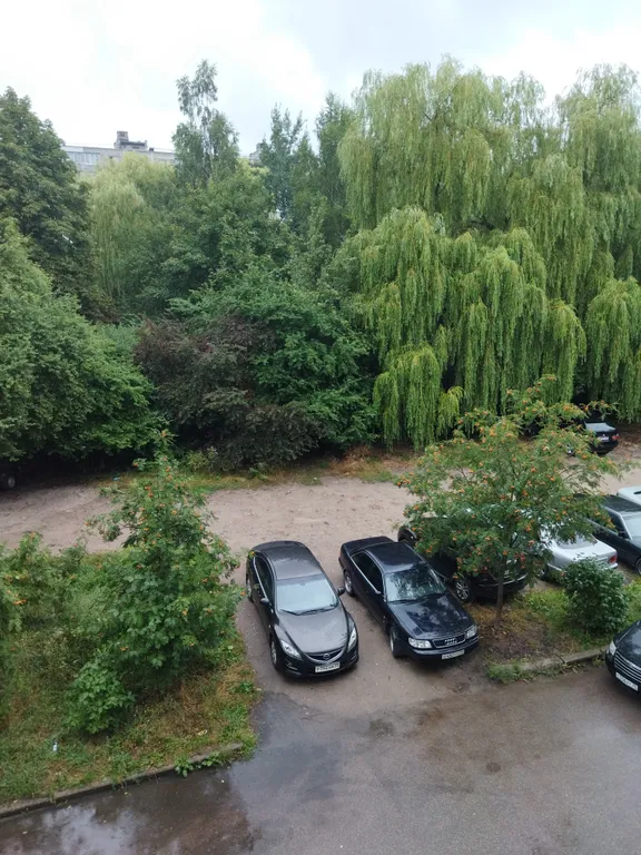 Квартира Квартира Уютная квартирка в районе музея янтаря — Калининград