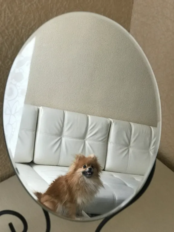 Уютная трешка в центре