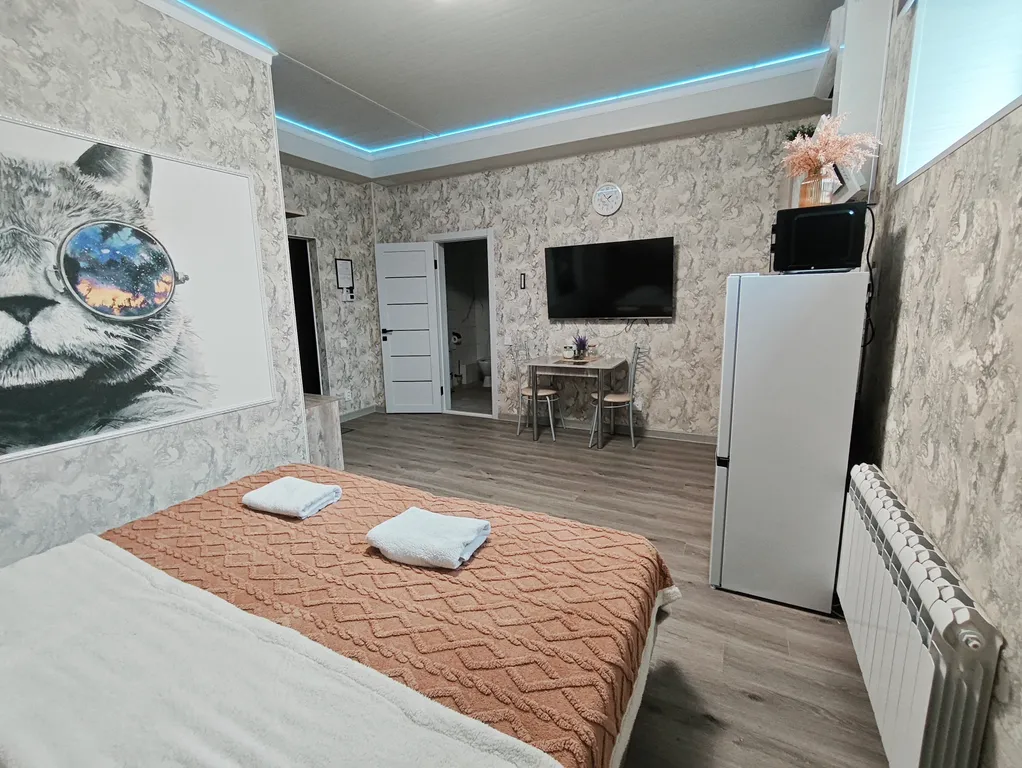 Уютная студия с новым ремонтом (№5)