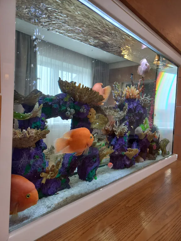 VIP квартира в центре Зеленоградска