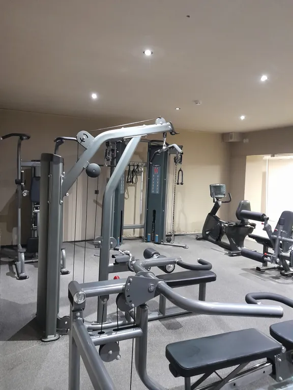 Студия в сосновом бору