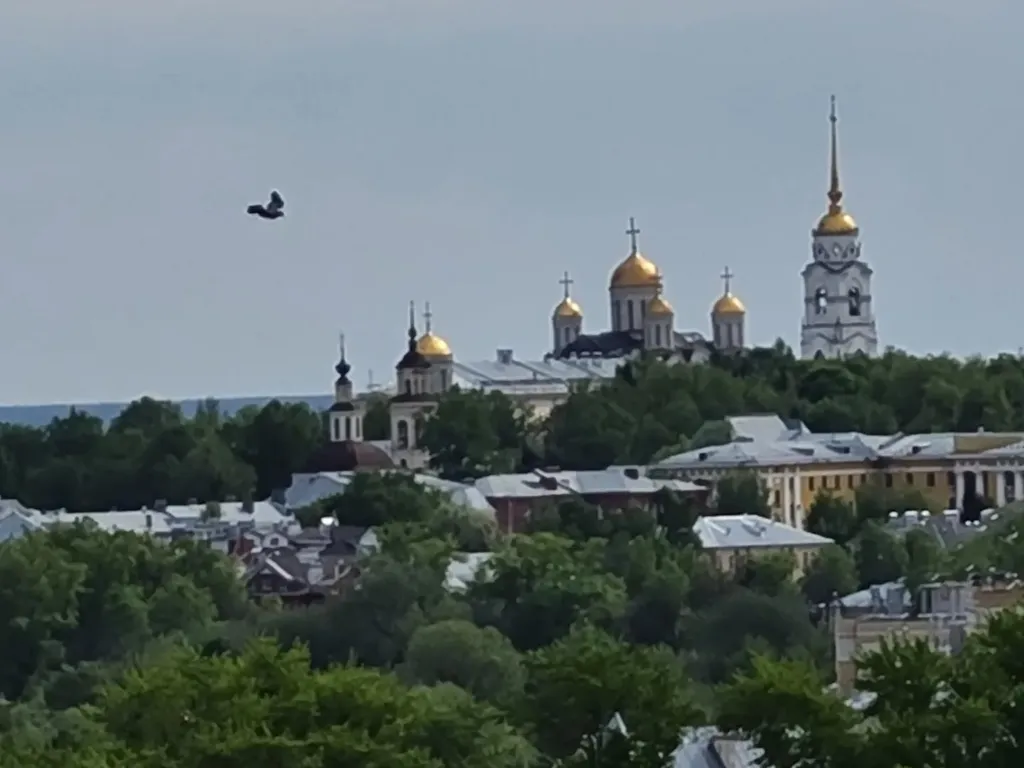 С видом на Успенский, бесконтактное заселение