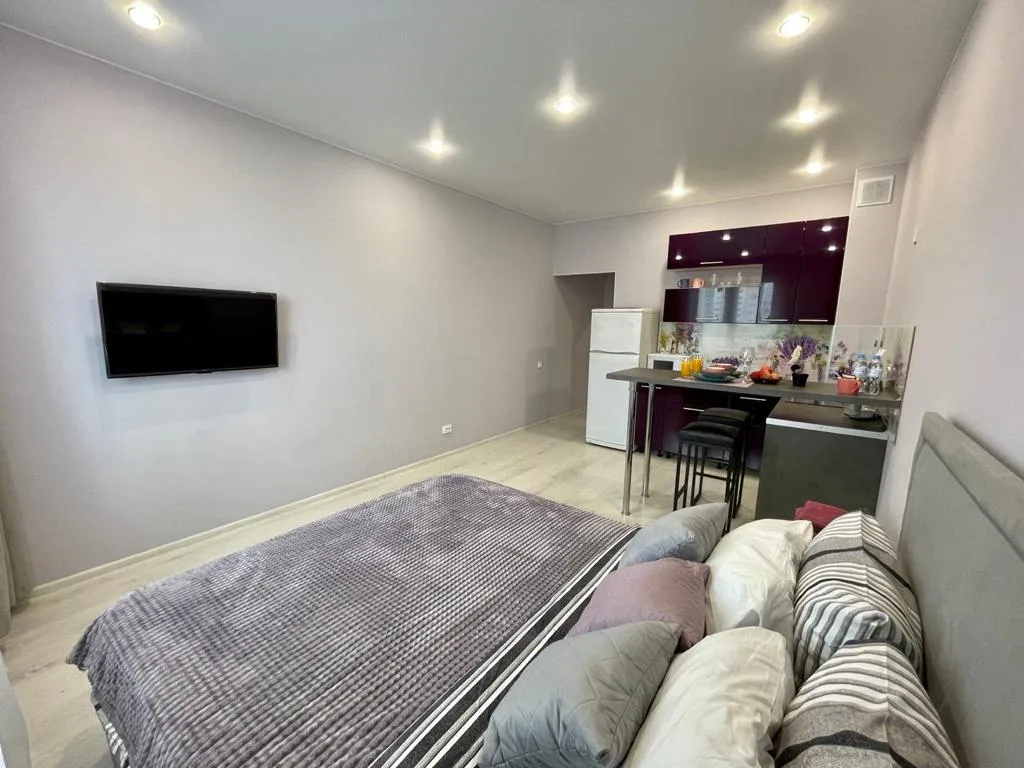 Большая, уютная студия