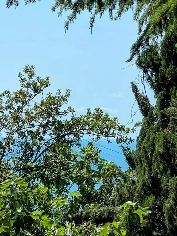 Квартира со всеми удобствами - 10 минут до моря