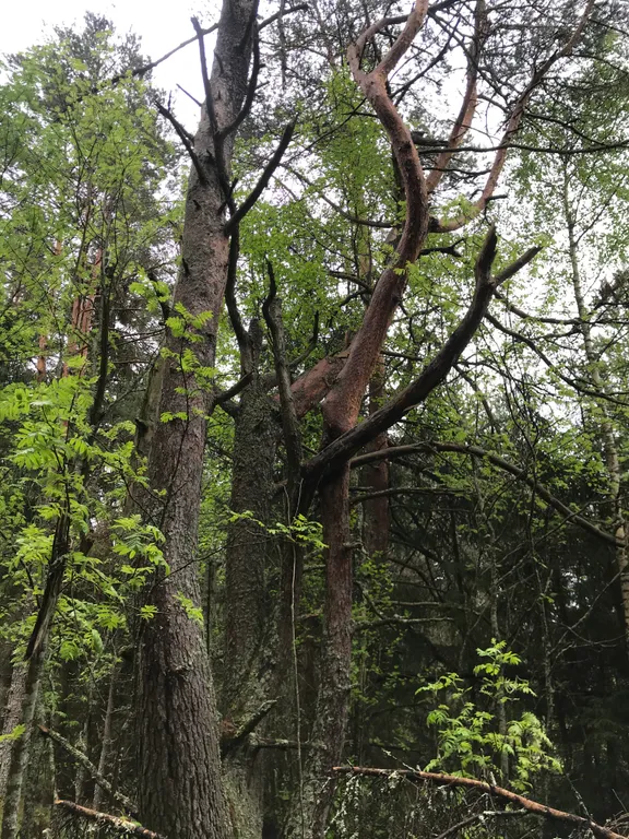 Дом на холме