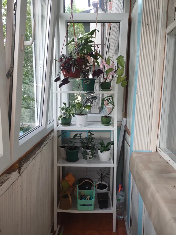 Семейная квартира с 2-я кондиционерами, видом на Машук, белым фортепиа