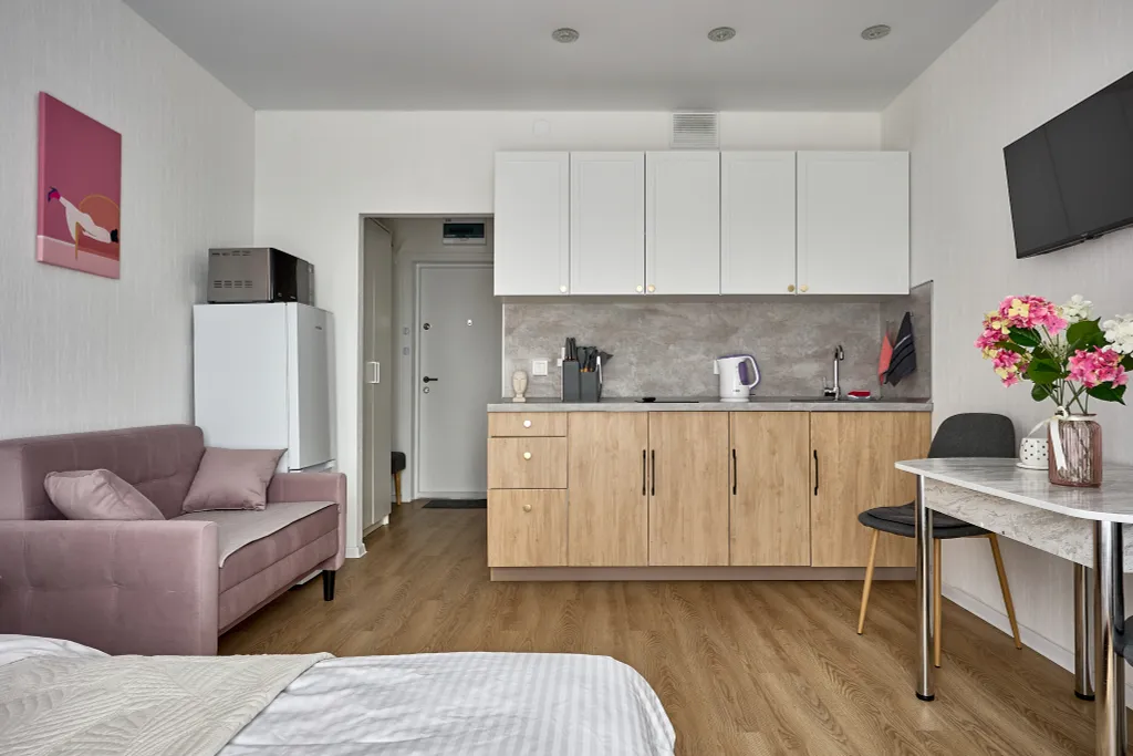 Студия 25 квадратных метров рядом с Аэропортом Внуково