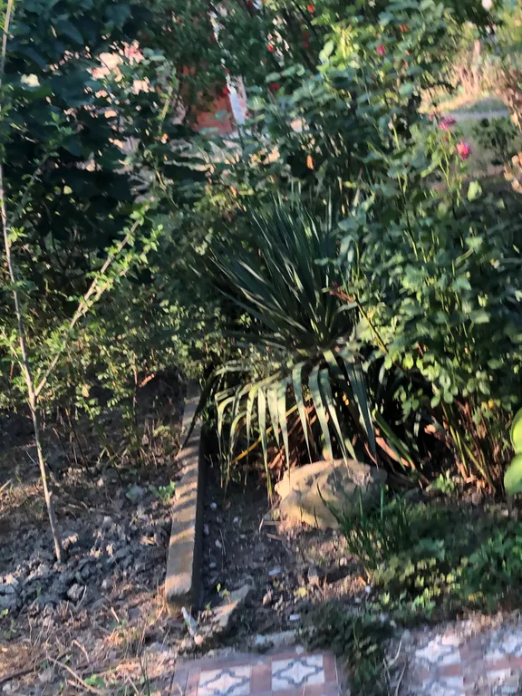 Дача рядом с морем, недалеко от пгт Орджоникидзе