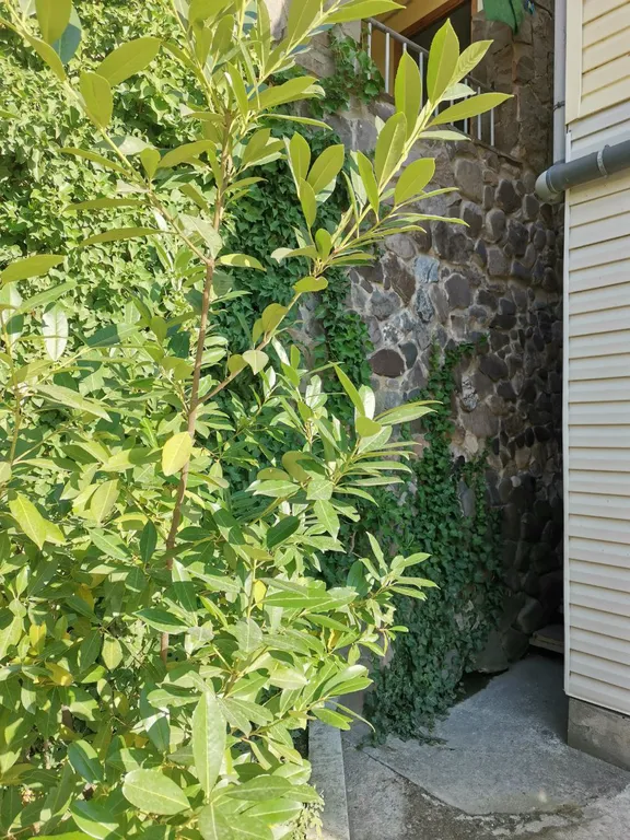 Уютный семейный дом