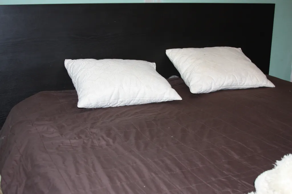 Дом с русской баней внутри.